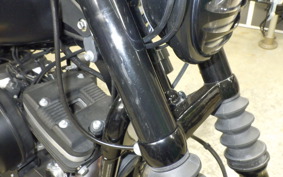 HARLEY XL883N 2017