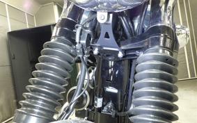 KAWASAKI W800 2025 EJ800E