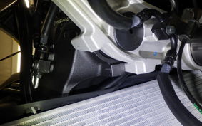 KAWASAKI NINJA1100SX 2025