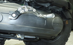 HONDA ZOOMER AF58
