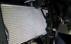 YAMAHA YZF-R25 A RG43J