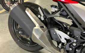 KAWASAKI NINJA 250 EX250P