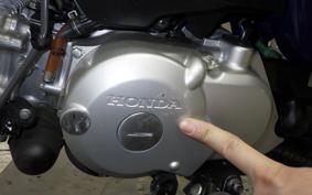 HONDA MONKEY 2019 AB27