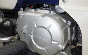 HONDA C110 SUPER CUB