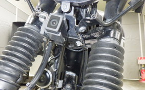 KAWASAKI W800 CAFE 2019 EJ800B