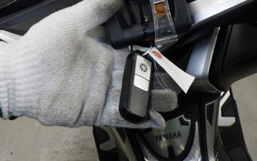 YAMAHA T-MAX 530 DX 2019 SJ15J