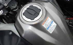 KAWASAKI VERSYS X250 A LE250D