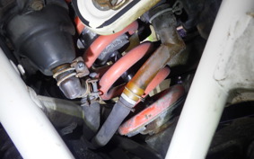 HONDA XLR250 BAJA 2022 MD22