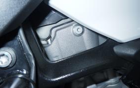 BMW S1000XR 2021