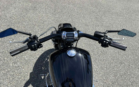 HARLEY  HARLEY FXBRS 2019 YHK