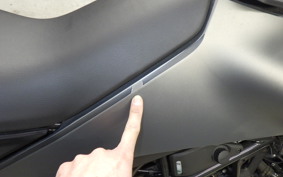 HUSQVARNA SVARTPILEN 401 2024