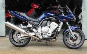 YAMAHA FZS1000 FAZER 2005 RN14