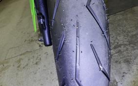 KAWASAKI NINJA 250R 2021 EX250K