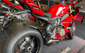 DUCATI PANIGA-RE 2024