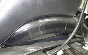 HARLEY XL1200XS 2020