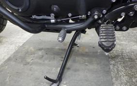 TRIUMPH SCRAMBLER 900 2025