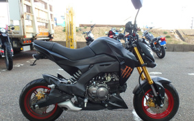 KAWASAKI Z125 PRO BR125H