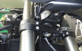 TRIUMPH STREET TRIPLE RS 2025