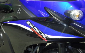 SUZUKI GSX250R