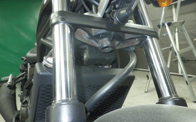 HONDA REBEL 250 2007 MC49