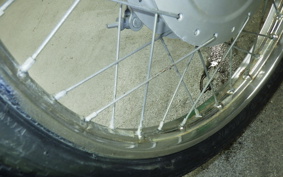 HONDA C90 SUPER CUB E 2021 HA02