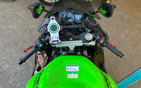 KAWASAKI NINJA ZX-6R 2020 ZX636G