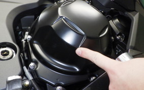 KAWASAKI NINJA1100SX 2025 ZXT10H