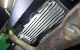 KAWASAKI NINJA 250 EX250L