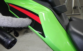KAWASAKI ZX-4RR 2024 ZX400P