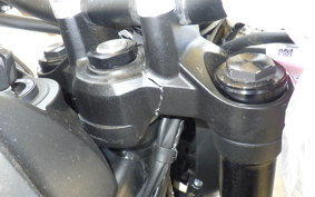 TRIUMPH TRIDENT 660 2021