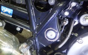 KAWASAKI W800 2016 EJ800A