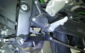 KAWASAKI ZX-4RR 2023 ZX400P