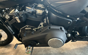 HARLEY FXBB 2020 YJJ