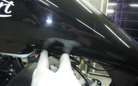 OTHER +DAYTONA125 2006