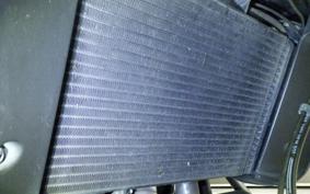 TRIUMPH TIGER 800 2013