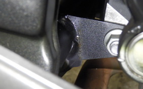 KAWASAKI NINJA 250 EX250L