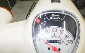 HONDA C110 SUPER CUB 2024 JA44