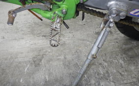 KAWASAKI KDX200SR Gen.2 2020 DX200G