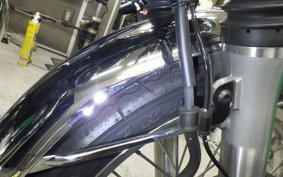 KAWASAKI W800 2024 EJ800E