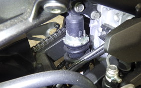 KAWASAKI NINJA 250 EX250P