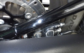 HARLEY FXLRS1920 2024
