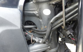 KAWASAKI Z250 ER250C