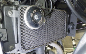 SUZUKI Vｽﾄﾛｰﾑ250 2022