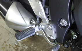 YAMAHA FZ1 FAZER 2009