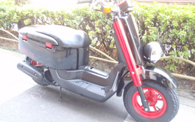 YAMAHA VOX Deluxe LTD SA31J