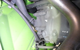 KAWASAKI NINJA 250 2019 EX250Y