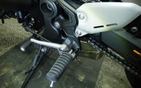 KAWASAKI Z900RS CAFE 2024 ZR900K