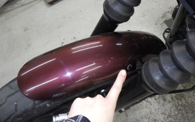 HARLEY XL1200NS 2020