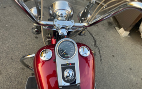 HARLEY FLSTC 2004 BJY
