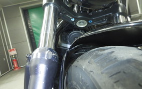 HARLEY RH975 2022